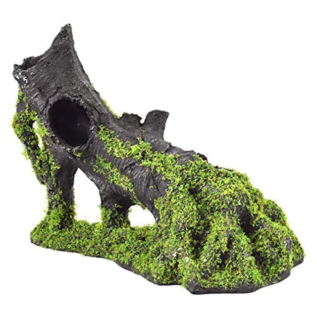 21年 爬虫類用流木のおすすめ人気ランキング10選 Mybest 21年 爬虫類用流木のおすすめ人気ランキング10選 Mybest