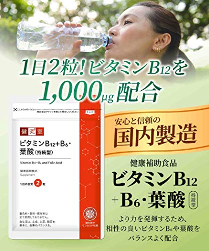 ビタミンB12+B6・葉酸（持続型） 2