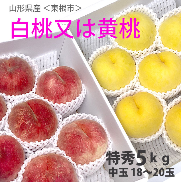 山形白桃&山形黄桃　 1