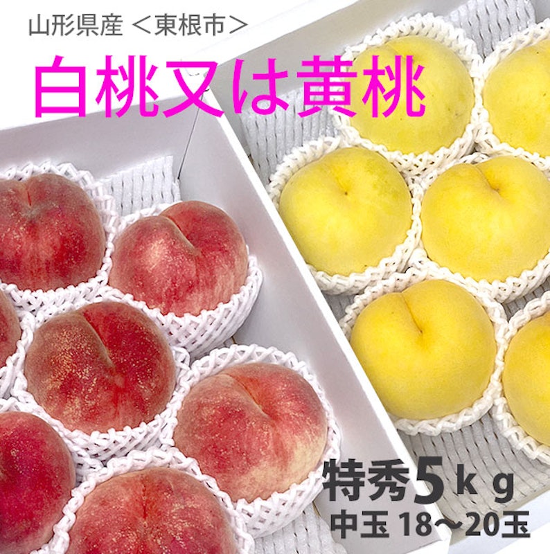 山形白桃&山形黄桃 1