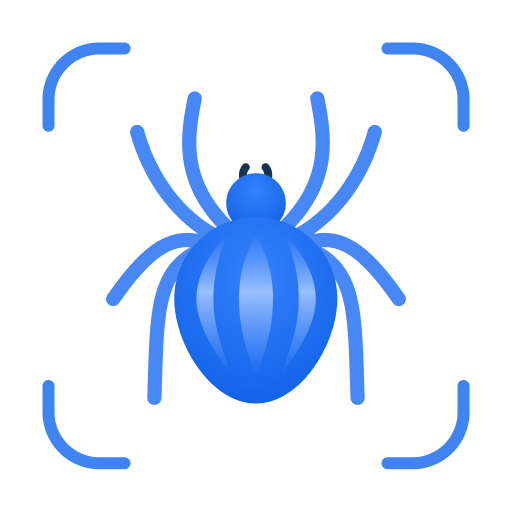 Picture Insect 1