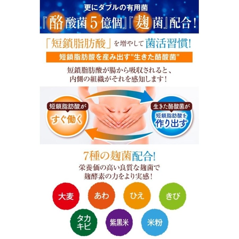 乳酸菌サプリメント 5
