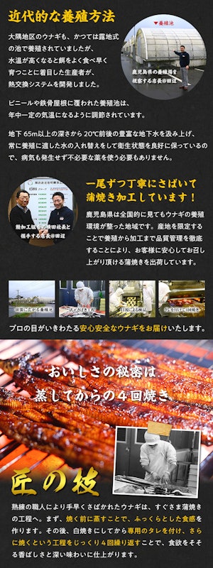 うなぎ蒲焼き 5