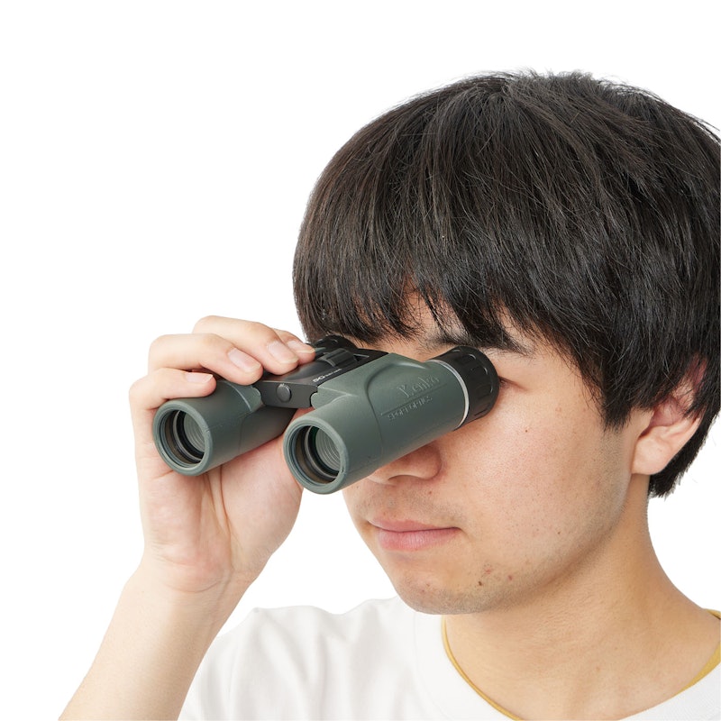 SG-H 10×24 4