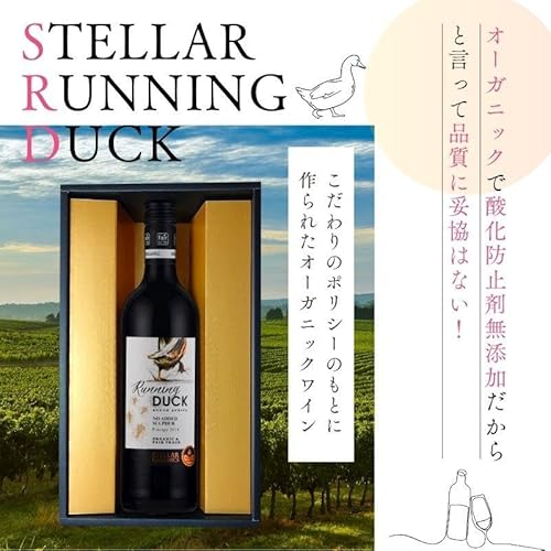 ランニングダッグ  2
