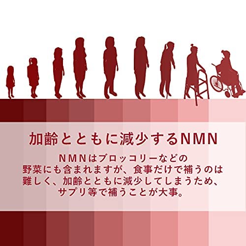 NMN4500 5