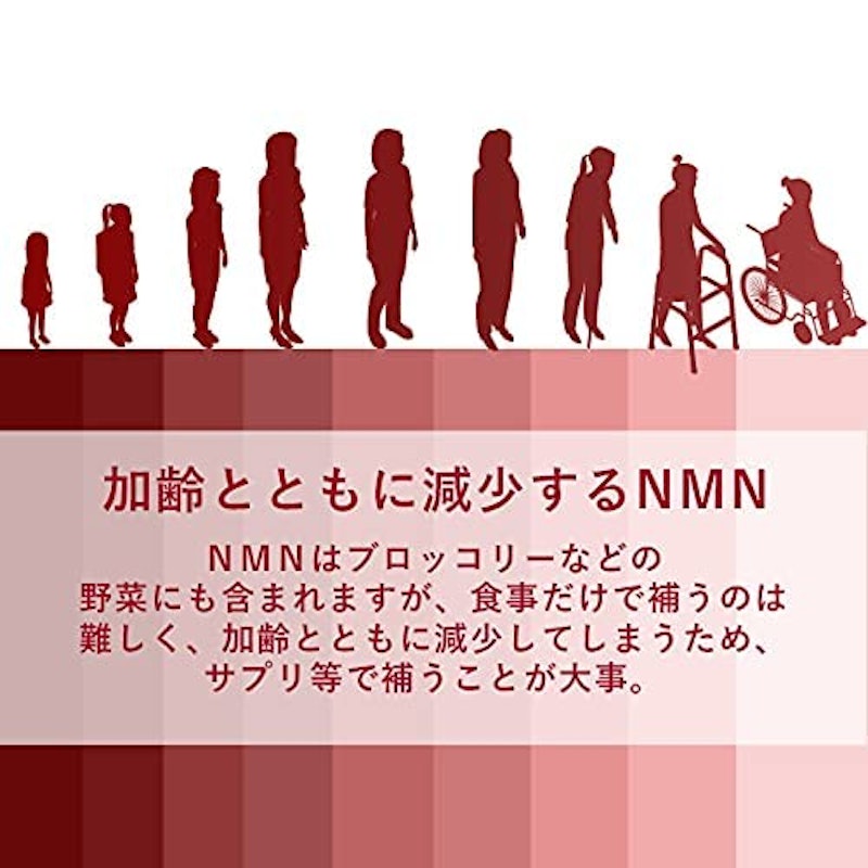 NMN4500 5