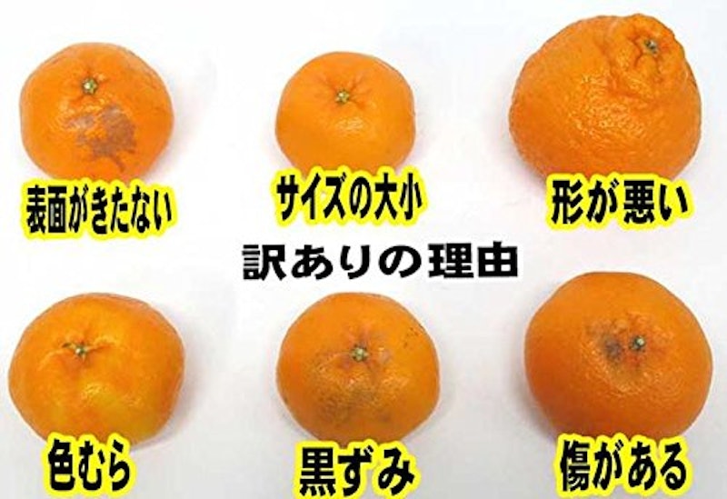 静岡産 はるみみかん 3