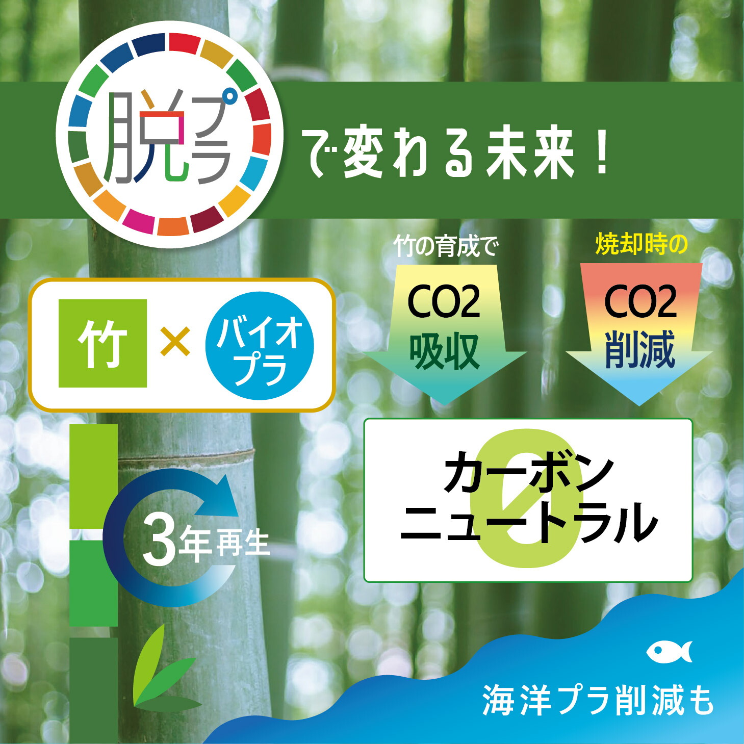 竹歯ブラシ 4