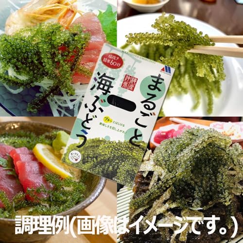 海ぶどう　茎付き 4