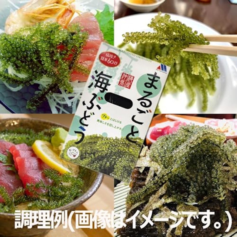 海ぶどう 茎付き 4