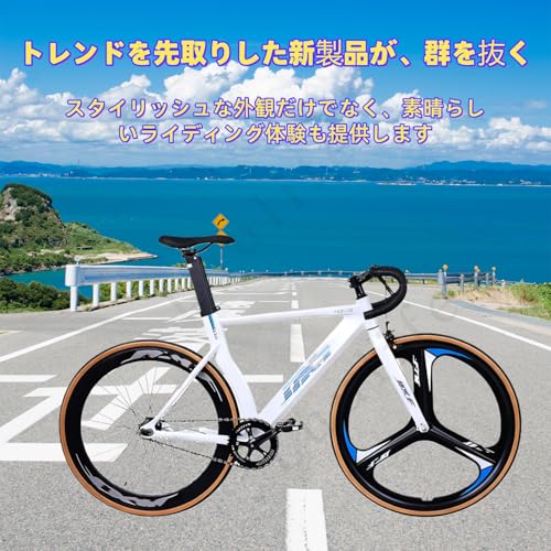 ピストバイク 6