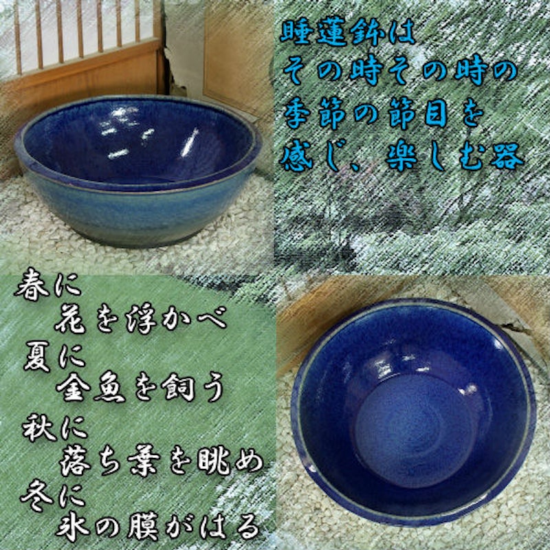信楽焼 睡蓮鉢 4