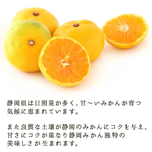 まるっとみかんゼリー 6