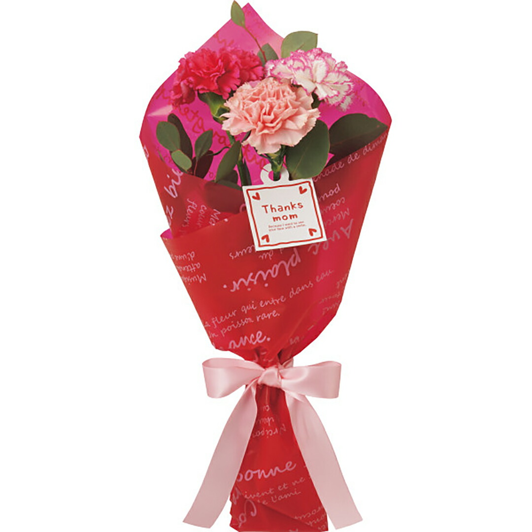 本当に喜ばれる母の日プレゼントのおすすめ人気ランキング | マイベスト