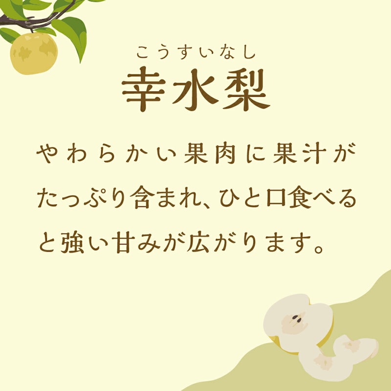 片野果樹園 幸水梨 2