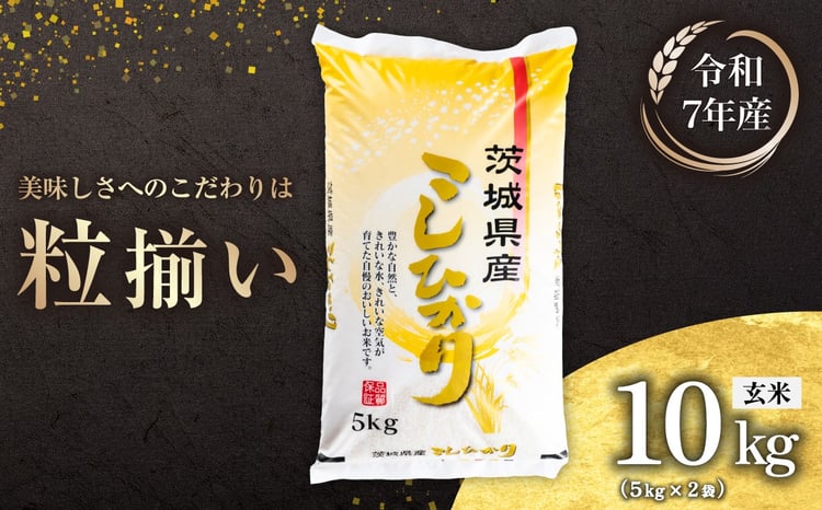 玄米 コシヒカリ 1