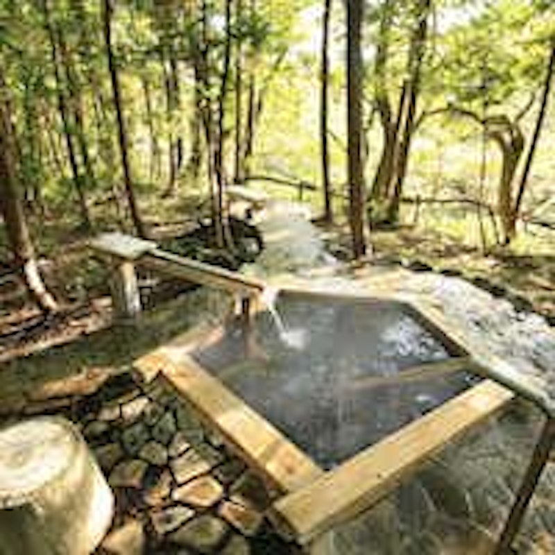 温泉山荘だいこんの花 4