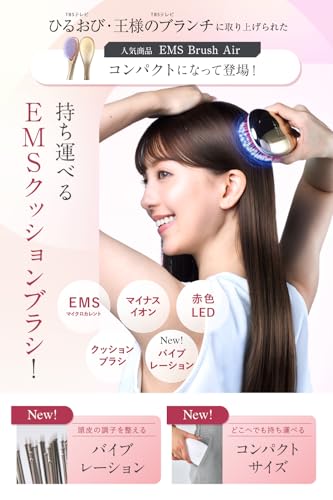 EMS Brush Air 2