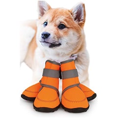 21年 犬用靴 靴下のおすすめ人気ランキング15選 Mybest 21年 犬用靴 靴下のおすすめ人気ランキング15選 Mybest