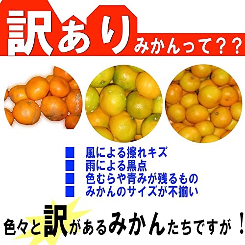 和歌山 訳あり みかん 3