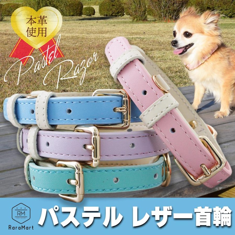レザー首輪 1