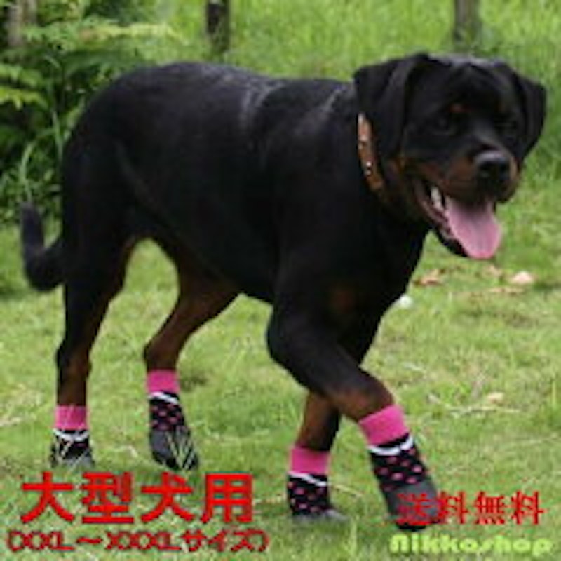 Rrxpgdku8j1tpm Rrxpgdku8j1tpm