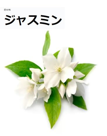 セクシー・ダイナマイト マウスウォッシュ 3