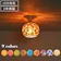 VENUS LIGHTING シーリングライト 1