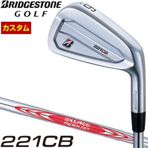 221CB アイアン 1