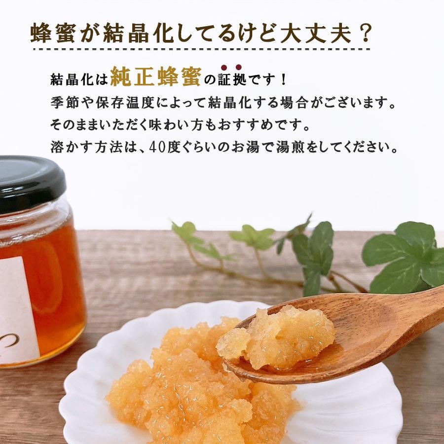 菌ちゃんげんきっこ 10