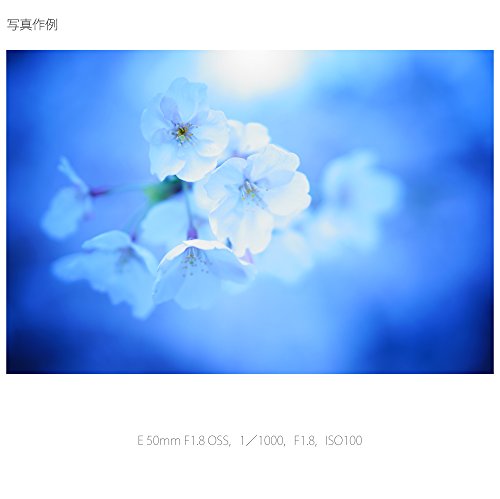 E 50mm F1.8 OSS 4
