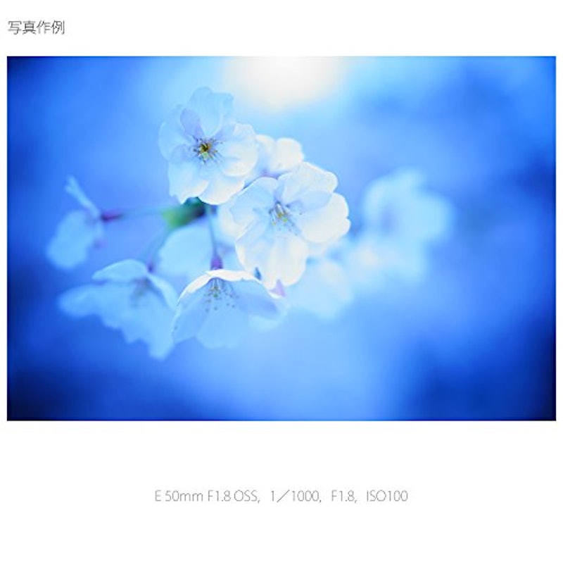 E 50mm F1.8 OSS 4