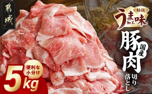 国産豚肉切り落とし 1