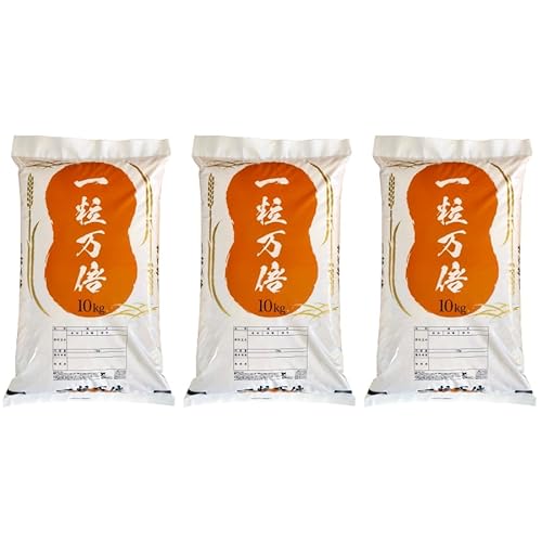 一粒万倍 1
