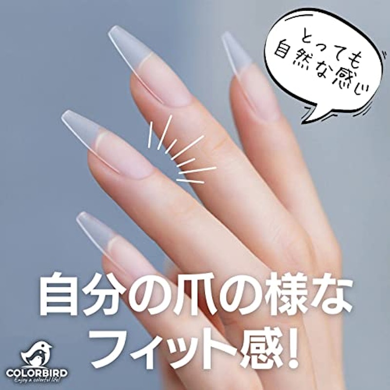 COLORBIRD ネイルチップ 3