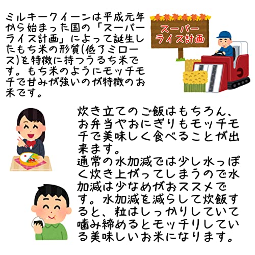 ミルキークイーン 2