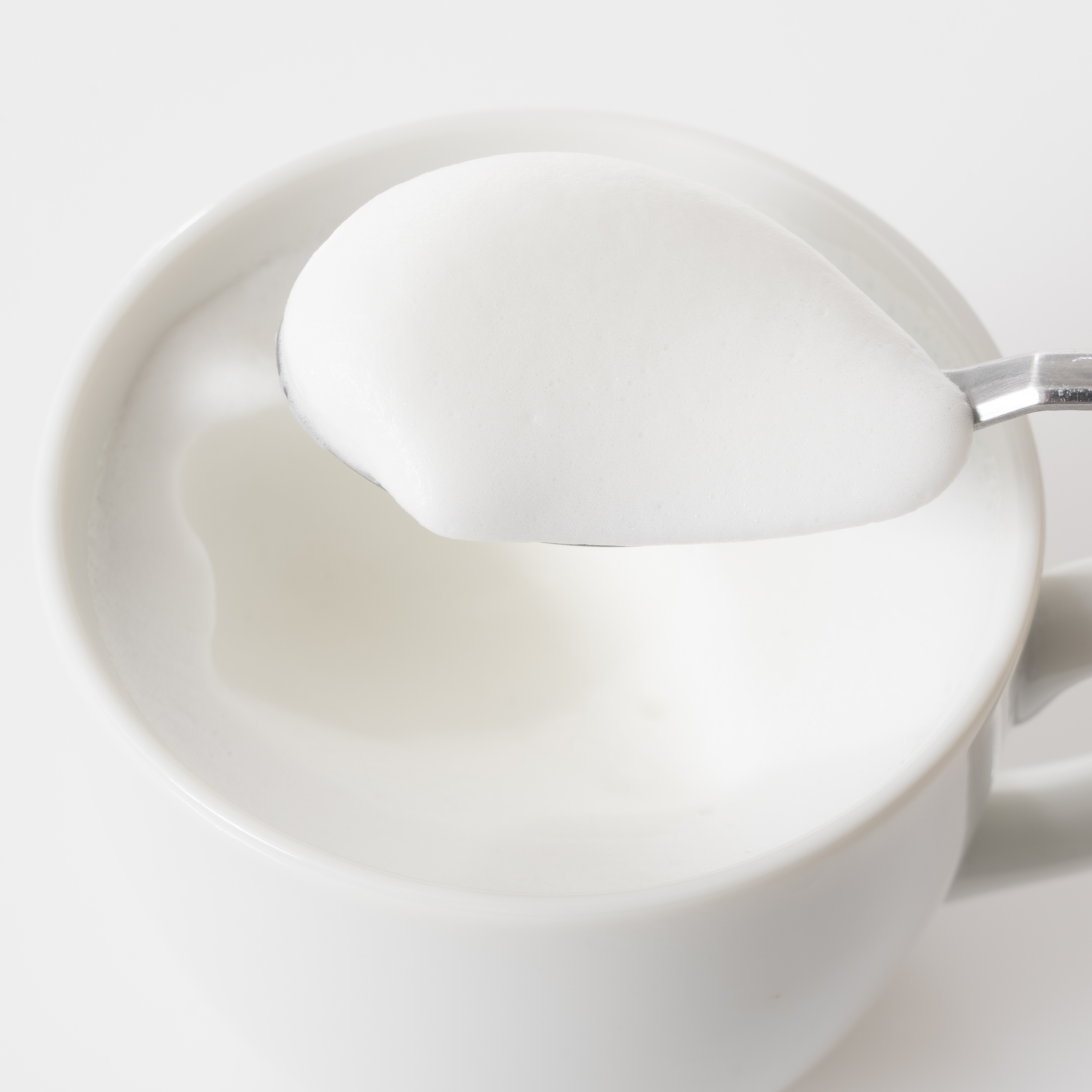 Milk Frother Pro 6