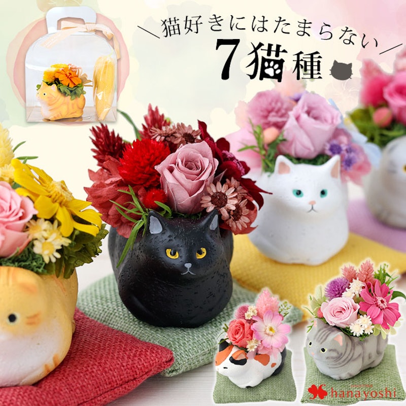 プリザーブドフラワー くつろぎねこ 2