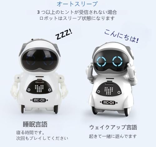 ポケットロボット 5