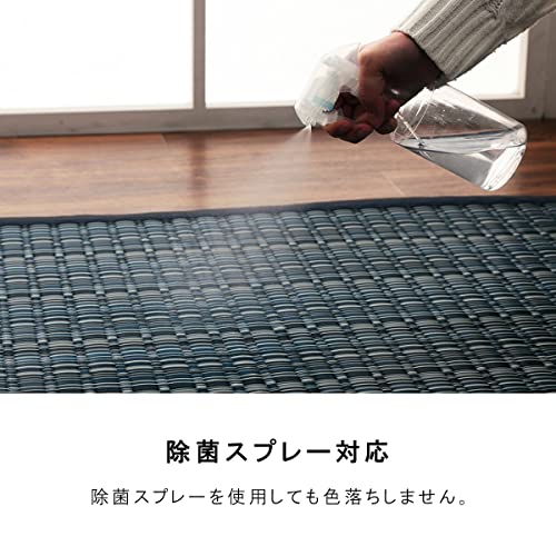 PPラグカーペット バルカン 8