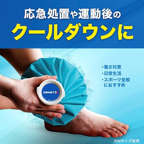 アイスバッグ S 2