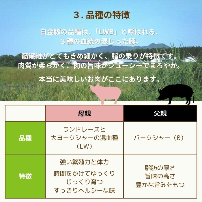 白金豚 バラ しゃぶしゃぶ用 スライス 6