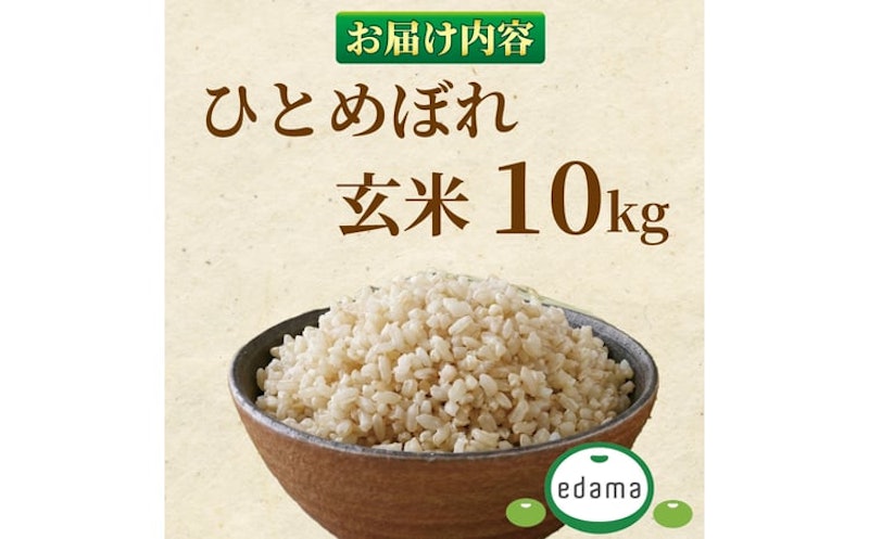 玄米 ひとめぼれ 4