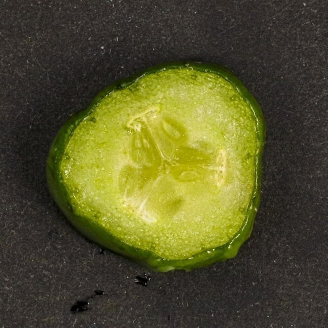 水の天使スキントリートメントゲルを全67商品と比較 口コミや評判を実際に使ってレビューしました Mybest