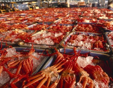 境港産紅がにA級品・B級品混合セット 1