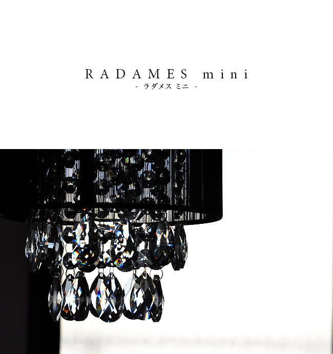 RADAMES mini  2