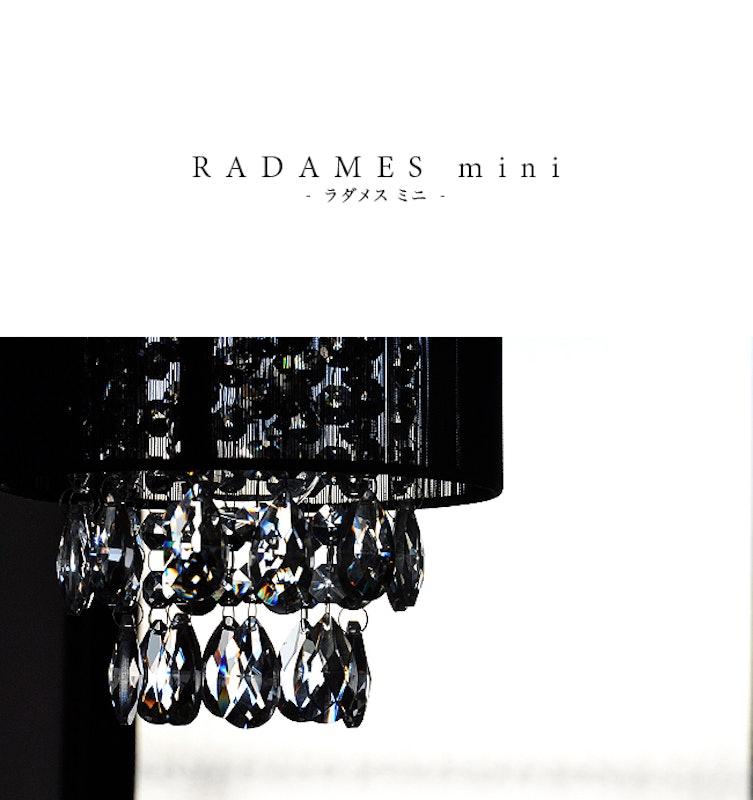 RADAMES mini 2
