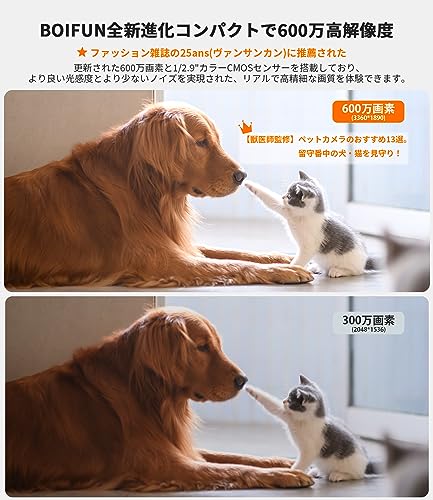 ネットワークカメラ 2