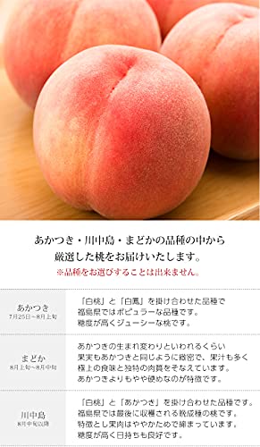JAふくしま未来 ミスピーチ 5